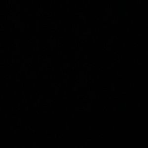 Meet your Posher, Mia